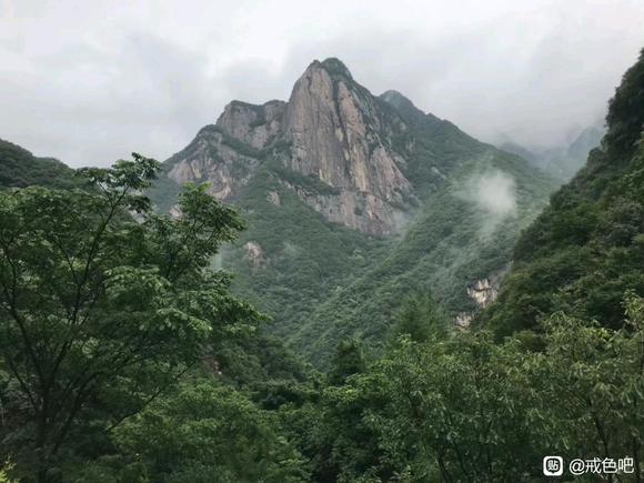 ”山里面有没有神仙？