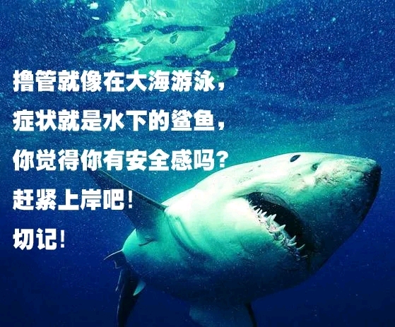 ”五十七、标题:转发戒se文章好处多多