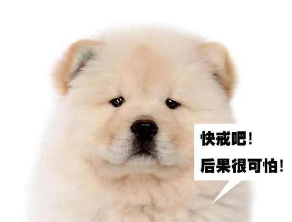 ”五十七、标题:转发戒se文章好处多多