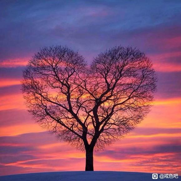 ”多年的问题终于好了，太高兴了