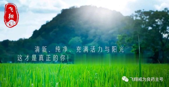 ”　　2015年十月份，生活混乱的我又一次向公司提出了辞职，这