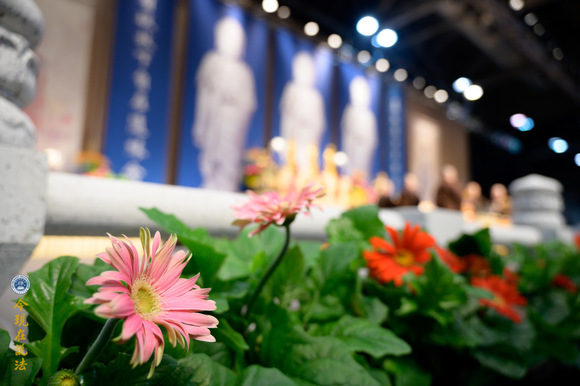 ”修行人要学会摆平你的垃圾情绪（普敬法师）