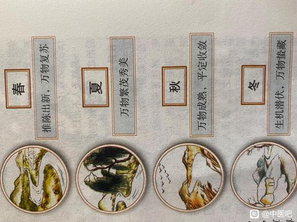 ”【发帖先看置顶】肾为先天之精，脾为后天之精，相互支持的关系