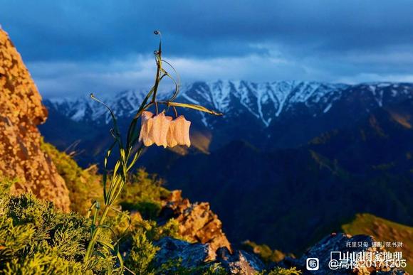 ”爱护自己，努力奋发。断除手淫意淫，不留遗憾和妄想。实干在自己
