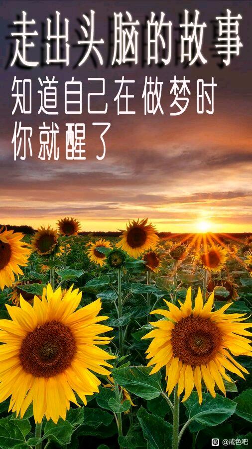 ”对境原则——擦边来了怎么做