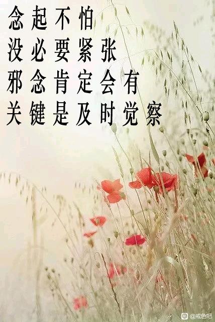 ”对境原则——擦边来了怎么做