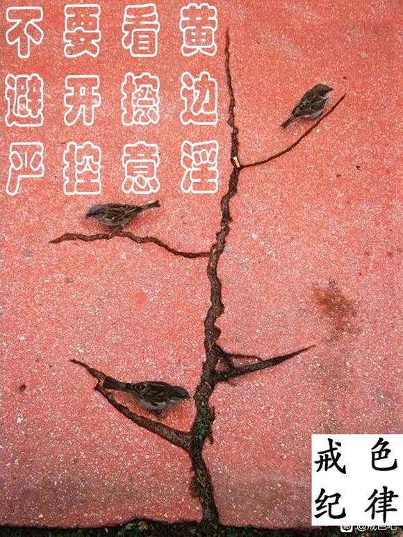 ”对境原则——擦边来了怎么做