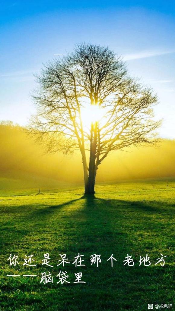 ”对境原则——擦边来了怎么做