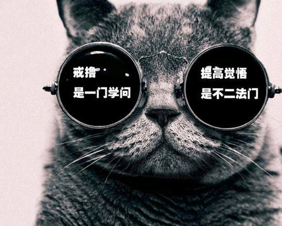 ”高三学生戒色517天经验