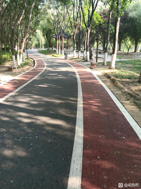 ”我感觉好孤独！