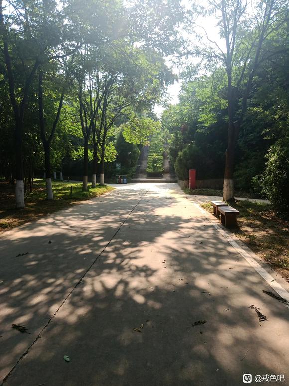 ”我感觉好孤独！