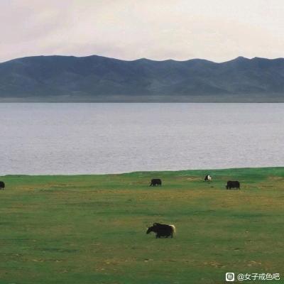 ”带人戒色，改变命运