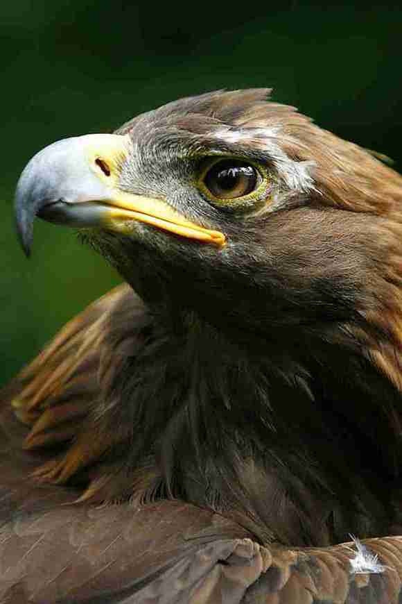 ”戒色宣誓2023年8月12日