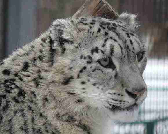 ”戒色宣誓2023年8月12日