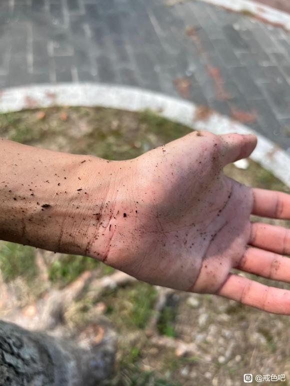 ”第一次树疗，有点社死