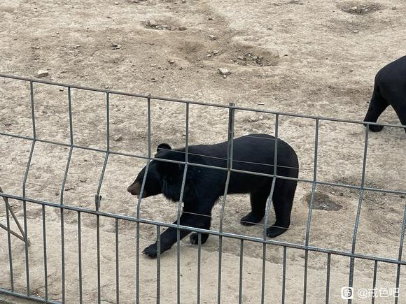 ”不是你戒sy就可以恢复身体，还要养成良好生活饮食起居习惯和心态