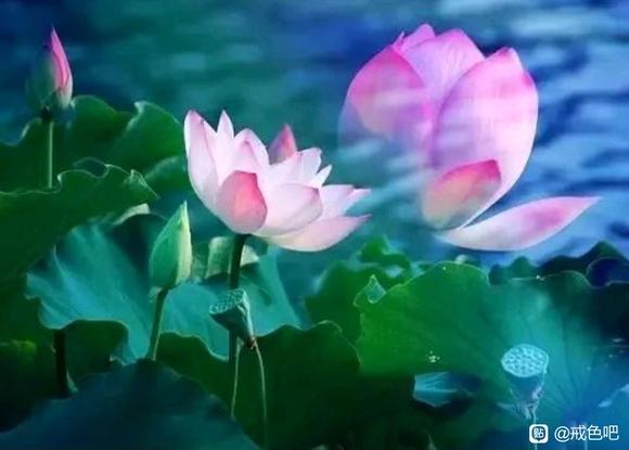 ”忏悔-自省-改过