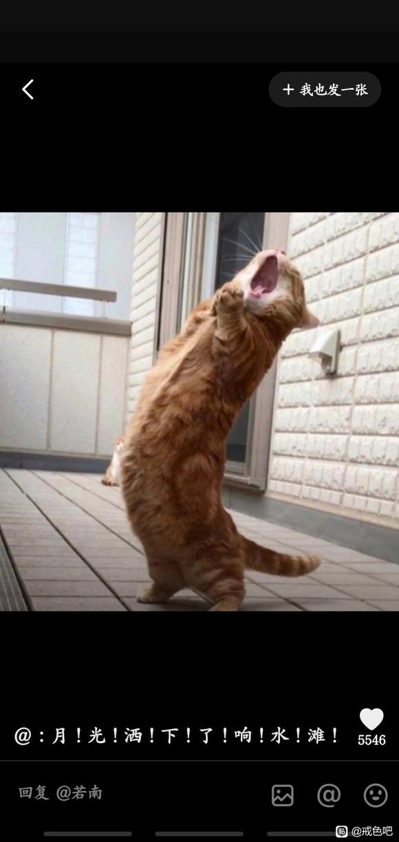 ”打卡记录每一天