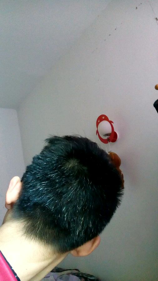 ”【问题求助】我的白发！淫邪已戒！！但是白发太影响外表了！特别烦