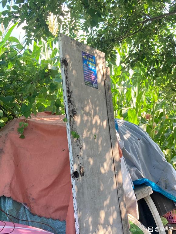 ”野外公益宣传