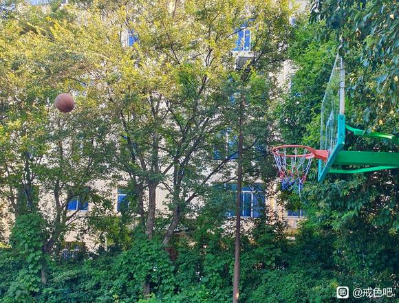 ”自认为丁丁有点短怎么办