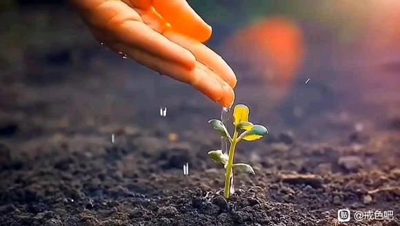 ”真正戒色的方法是放生