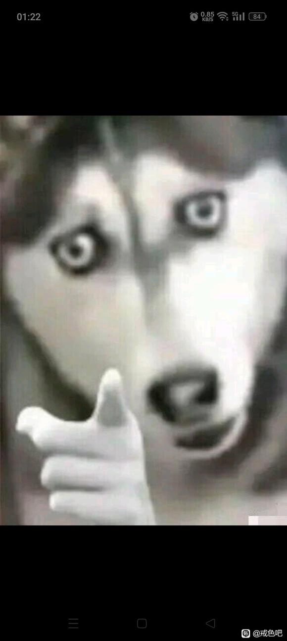 ”2023.7.14在此立贴