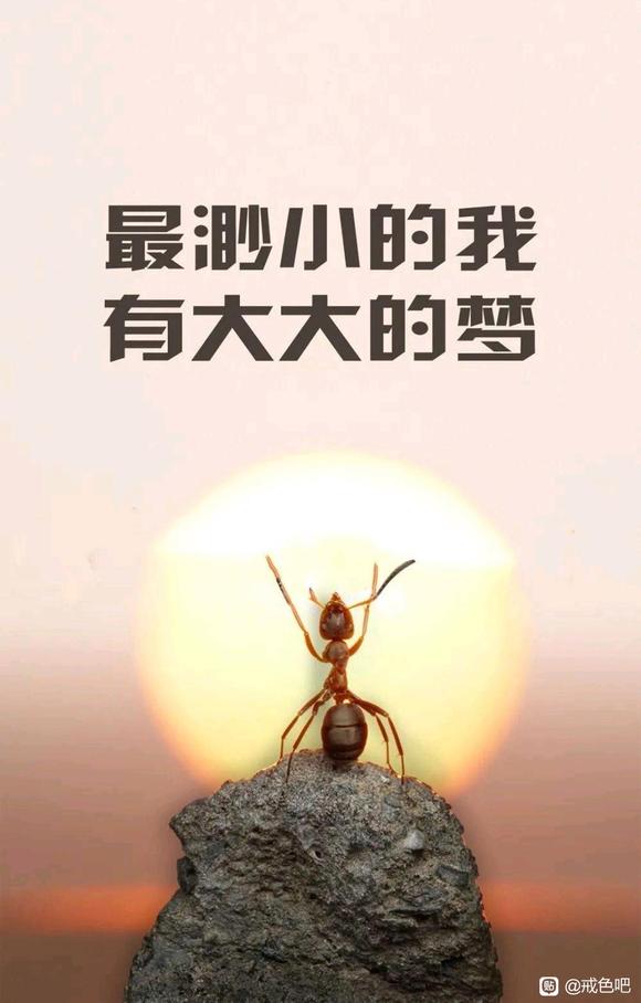 ”戒色2199天，学习才是制胜唯一法宝！！