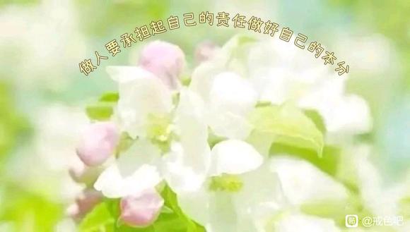 ”不仅仅要戒色