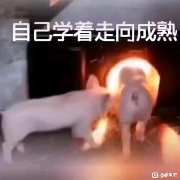 ”手了10年，从18岁到28岁，能恢复过来吗？