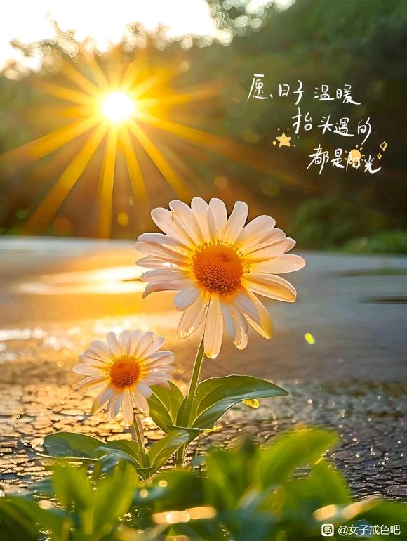 ”纪念第一次战胜欲望
