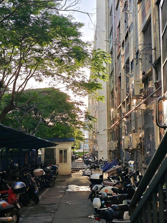 ”开个帖子，分享自己生活或者戒色中想到的道理或一些戒色的觉悟，