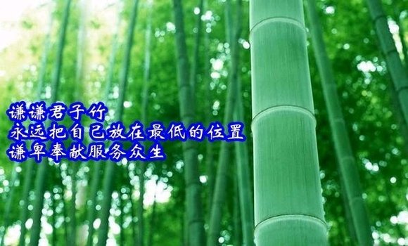 ”【飞翔经验：学习传统文化之蓦然回首】第81季