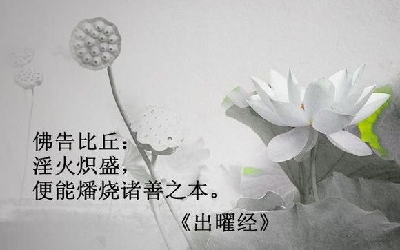 ”戒色两年感悟