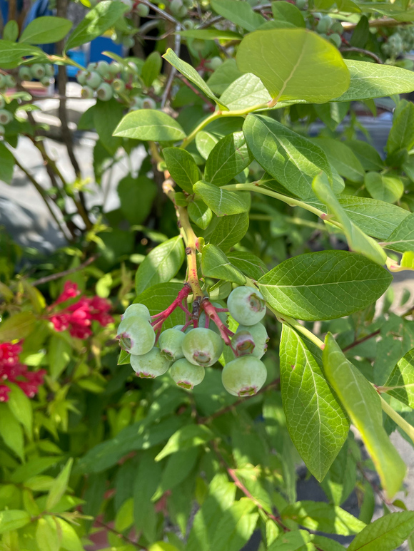 ”这种行为会让你的能量场变得具有攻击性