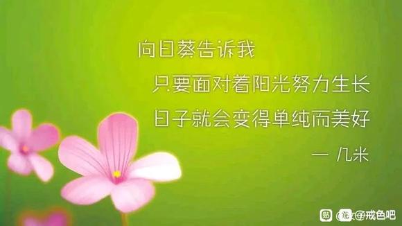 ”共建清新氛围