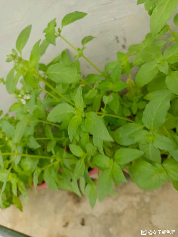 ”邪淫业很重，是一种病