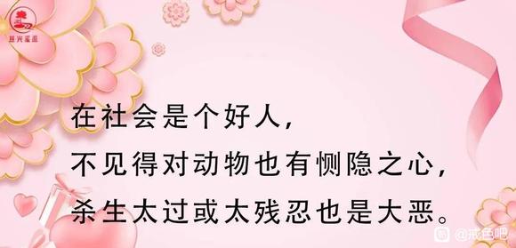 ”杀了那只大肥兔后，我变得疑神疑鬼，直到我躺在手术台上……