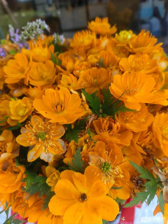 ”戒色问题学问