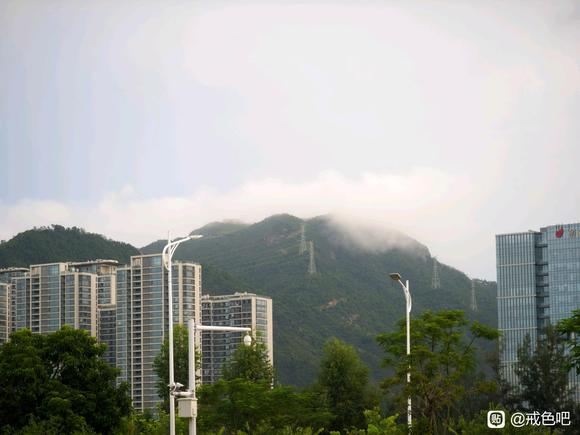 ”戒色打卡，第四十四天