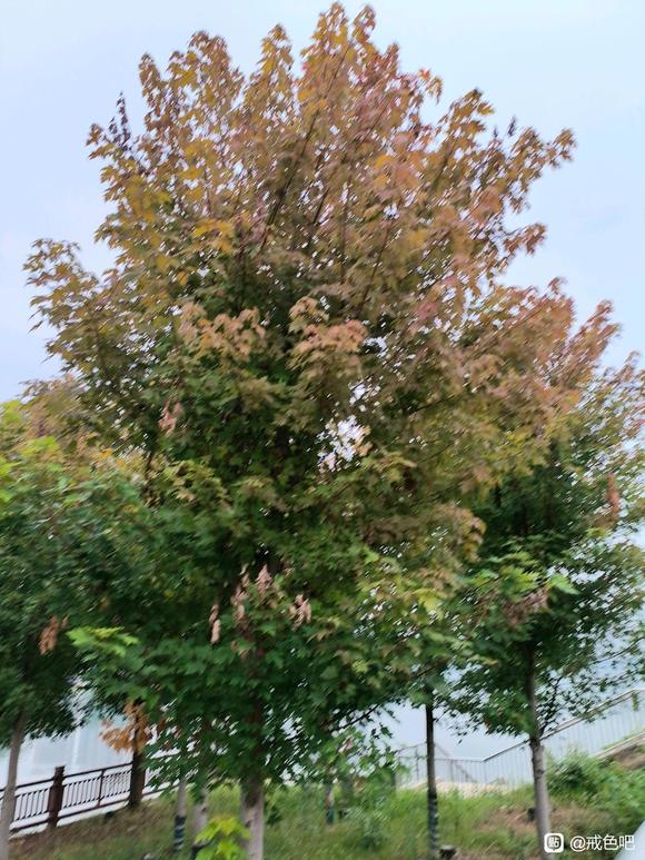 ”戒色怎么戒？先把生活的点滴做好！