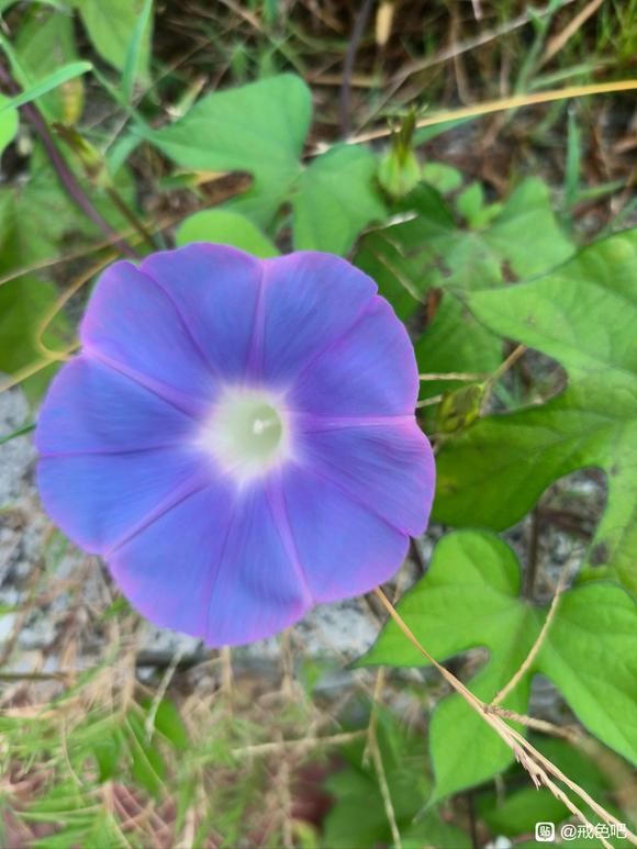 ”今天的自我肯定日记8.27