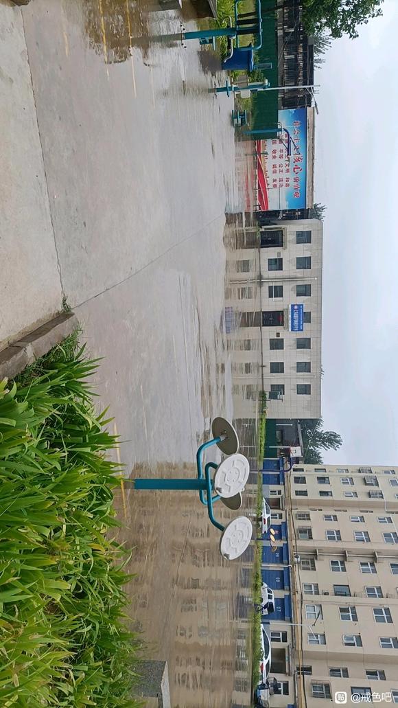 ”以后真不能看