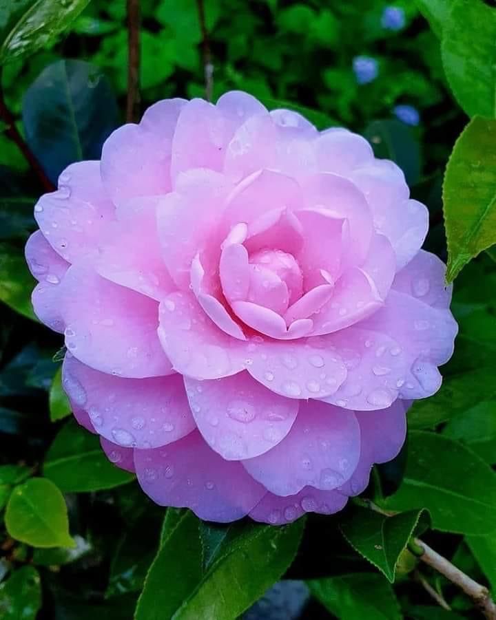 ”分享：认清自己的问题，才能戒成功