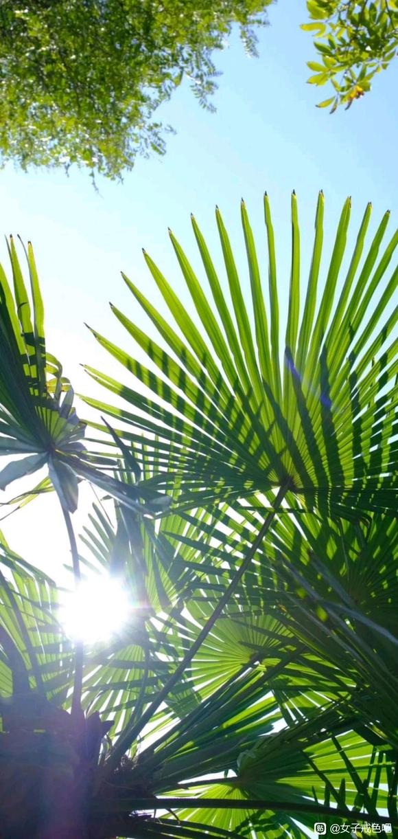 ”第三百七十四章