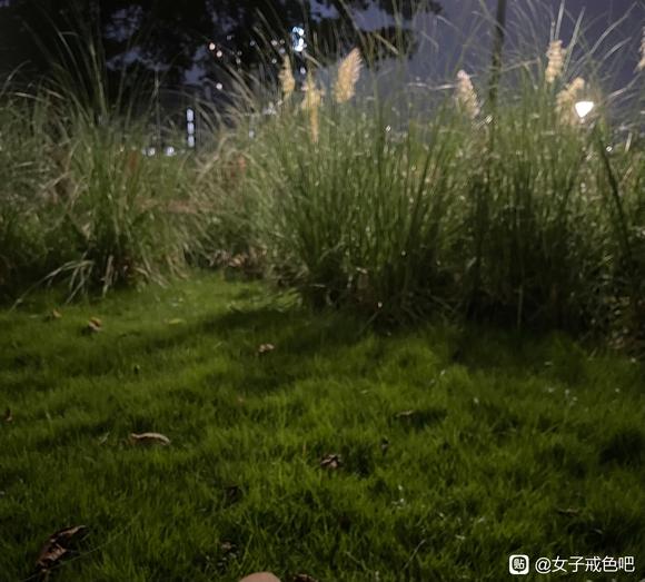 ”失业了，好困难