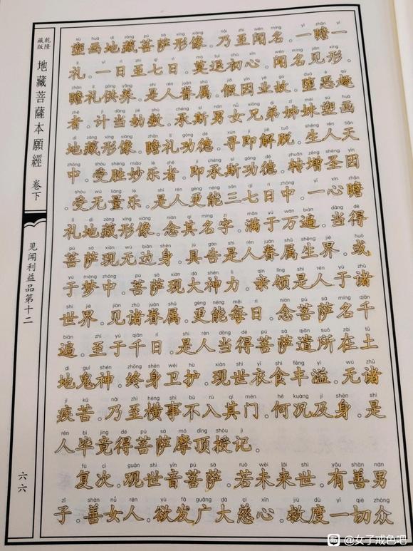 ”观音寺的荷花真好看