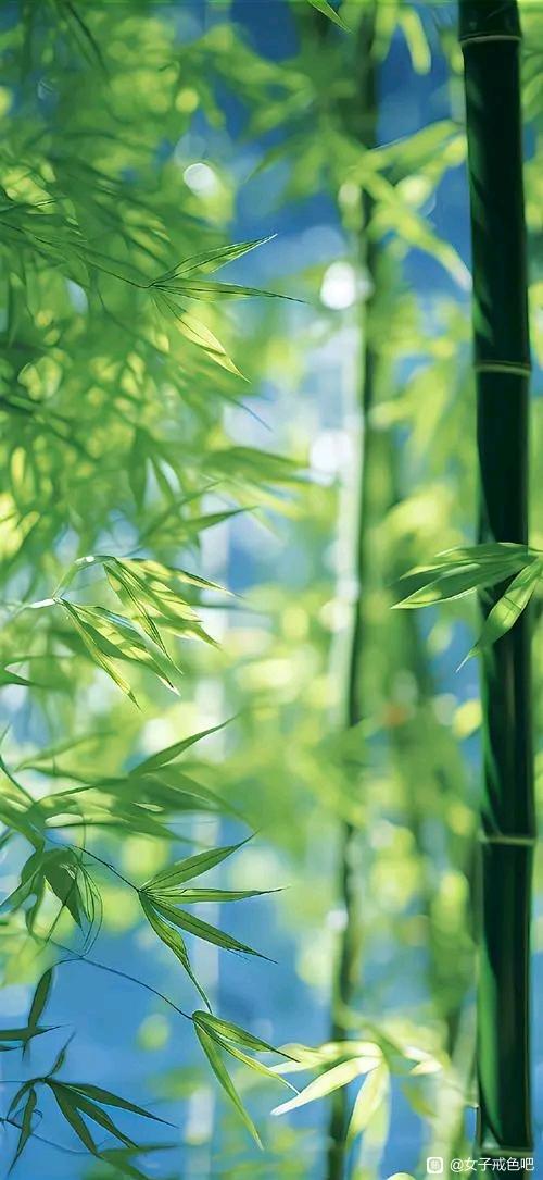”大家好，分享戒色经验