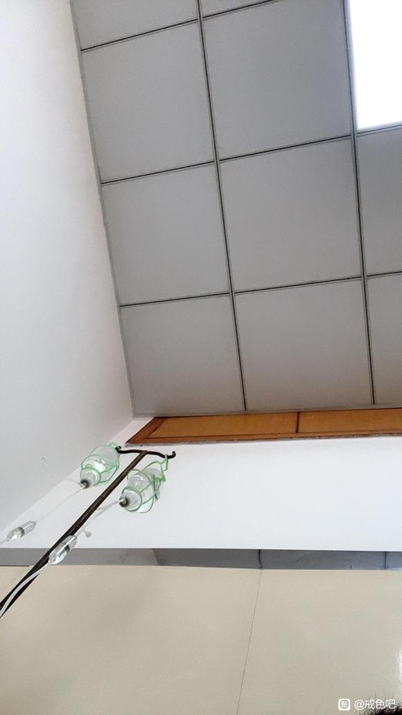 ”看到没，这就是下场