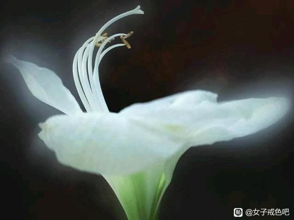”戒手淫打卡贴